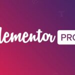 Elementor Pro Page Builder