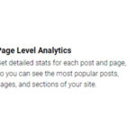 MonsterInsights Page Insights Addon